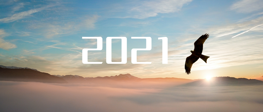 乘“峰”而上，智“盈”未來(lái) ——2021年米蘭·(milan)中國(guó)官方網(wǎng)站環(huán)境高級(jí)資深副總裁新年開(kāi)工動(dòng)員